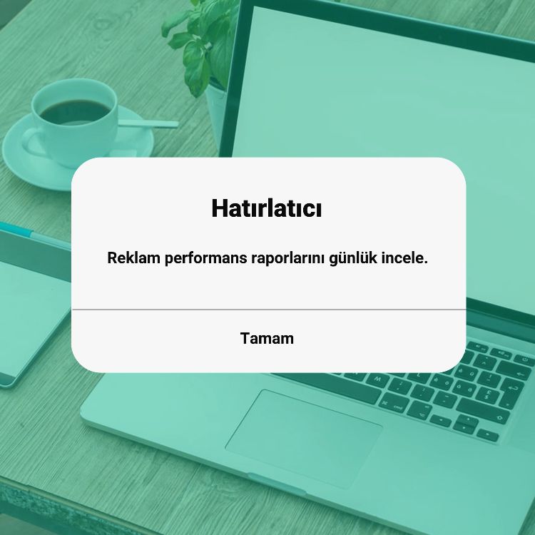 reklam performans raporları