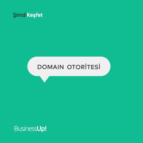 domain otoritesi