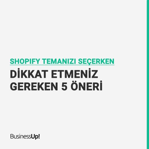 shopify teması